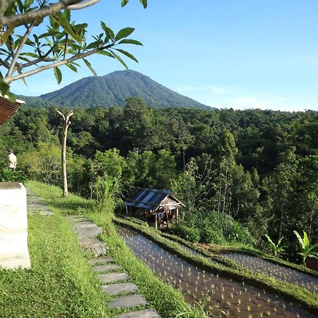 Padi Bali Jatiluwih Villa Tabanan  Exterior photo