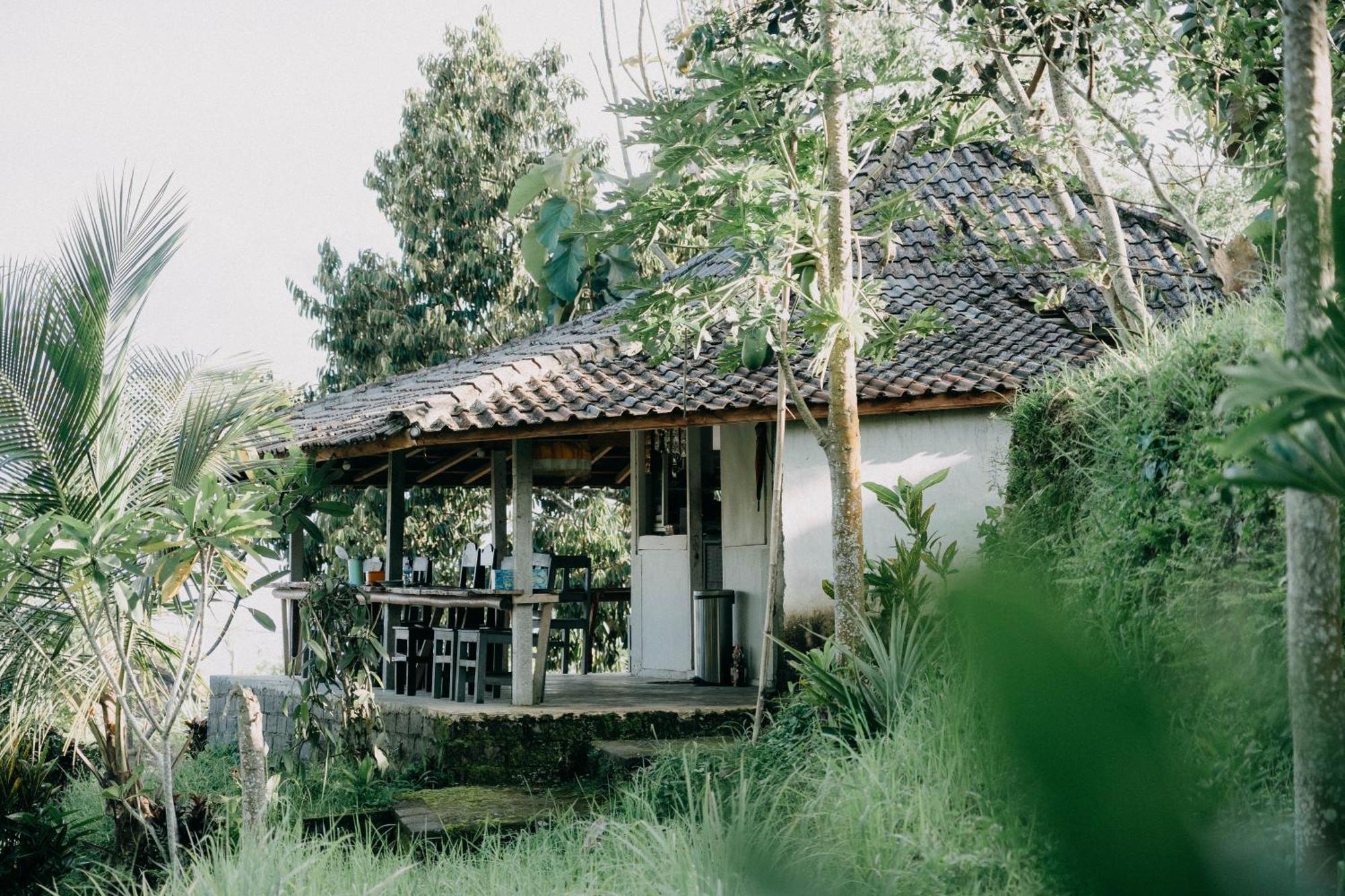 Padi Bali Jatiluwih Villa Tabanan  Exterior photo