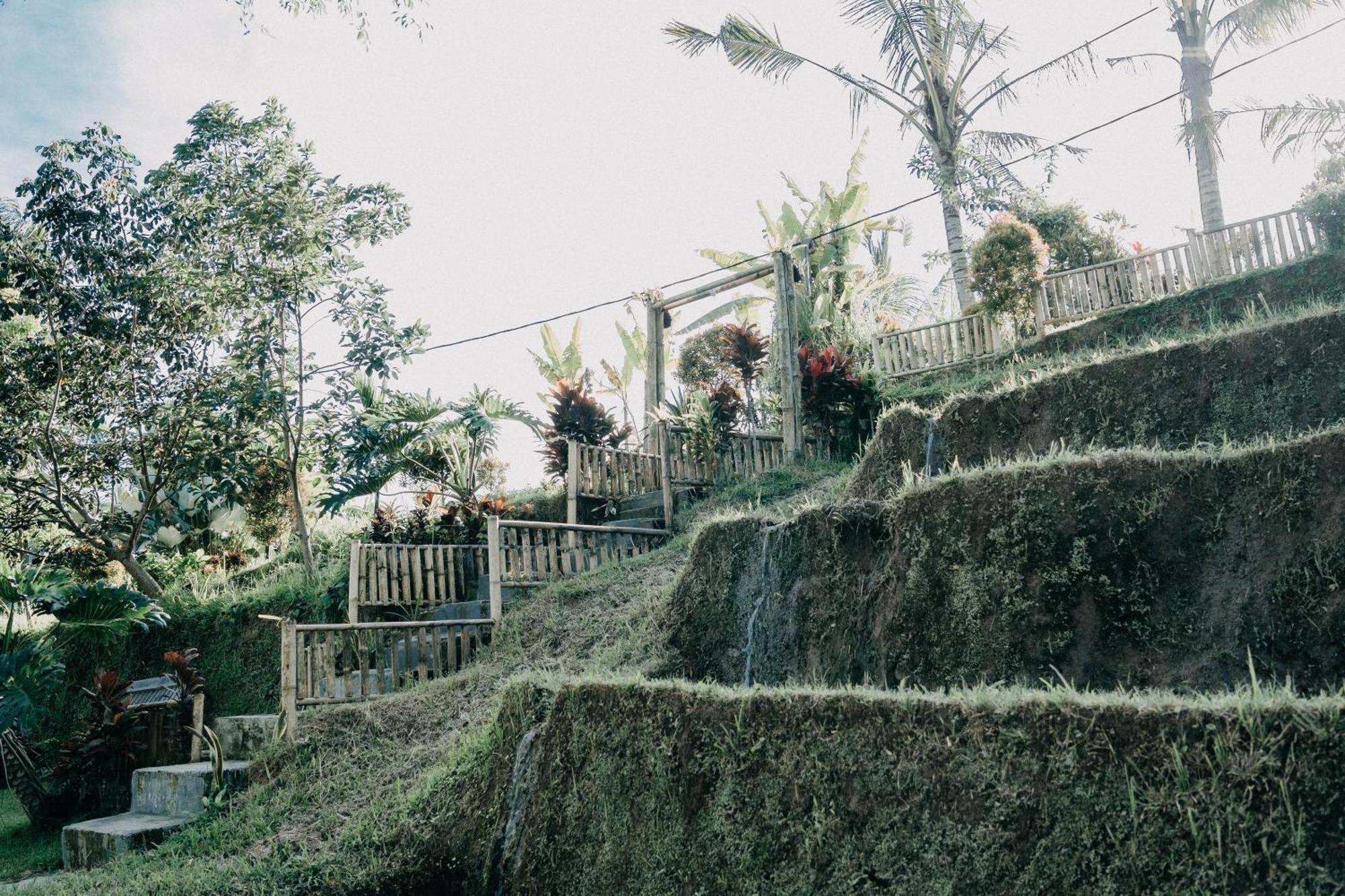 Padi Bali Jatiluwih Villa Tabanan  Exterior photo