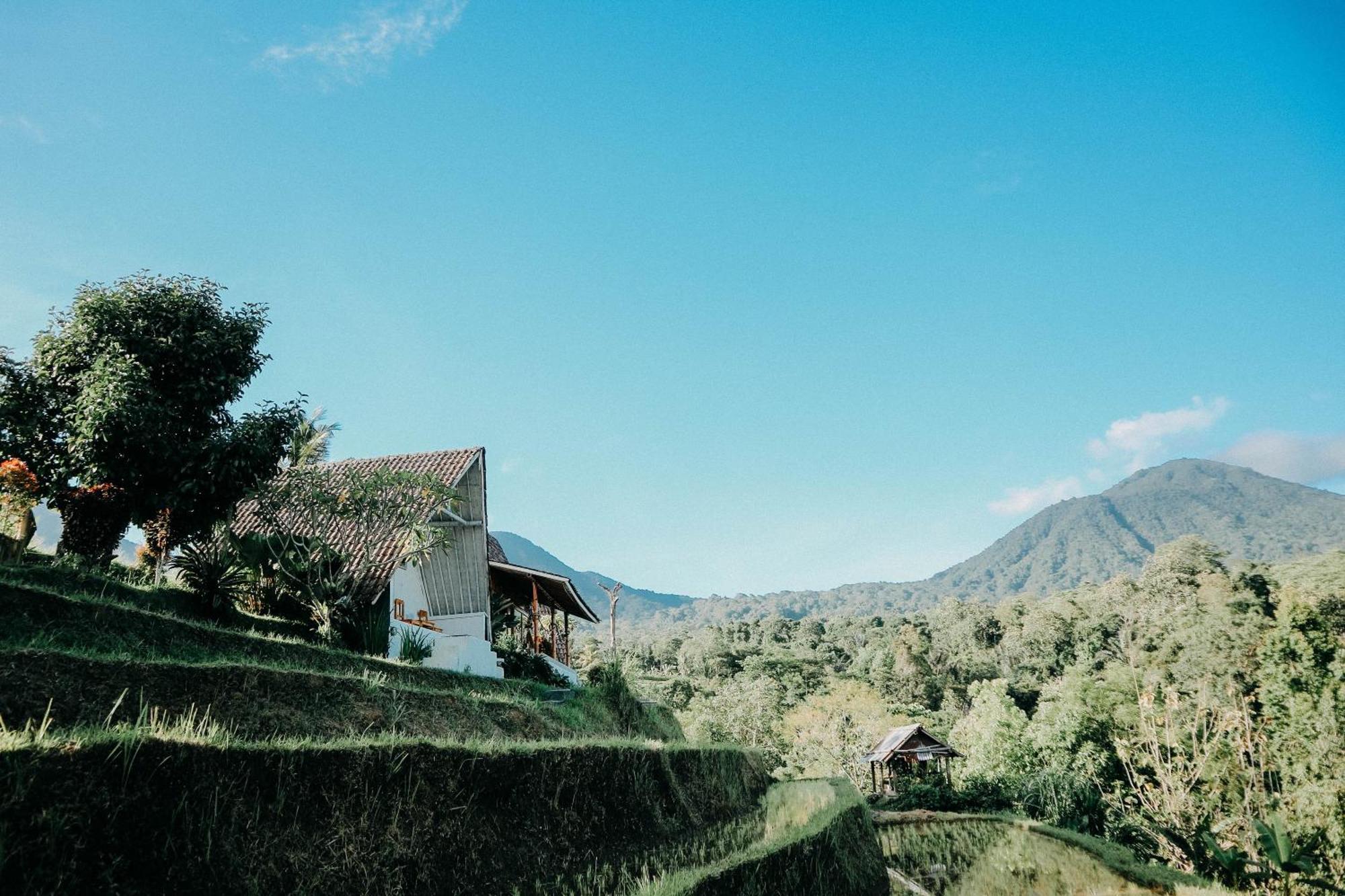 Padi Bali Jatiluwih Villa Tabanan  Exterior photo