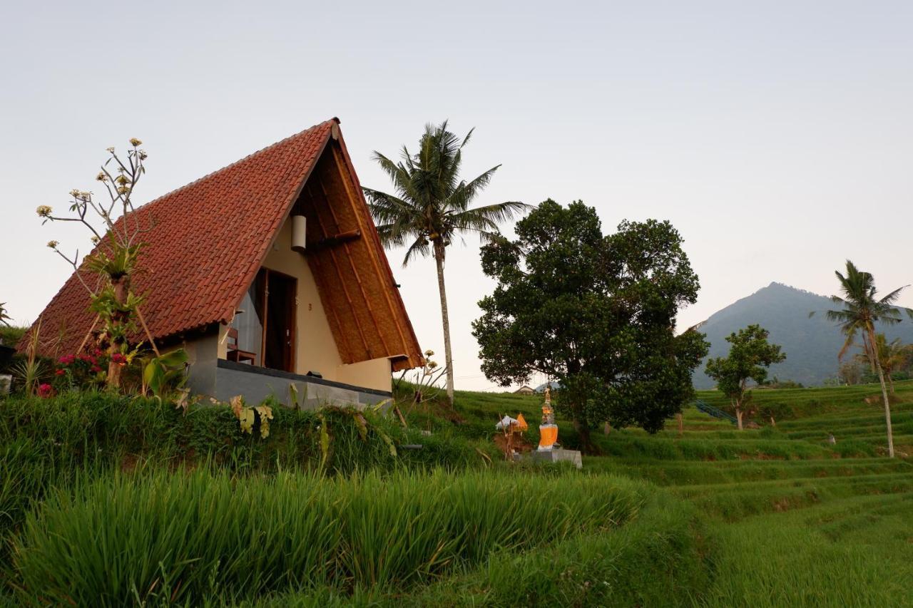 Padi Bali Jatiluwih Villa Tabanan  Exterior photo