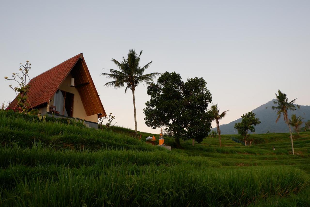 Padi Bali Jatiluwih Villa Tabanan  Exterior photo